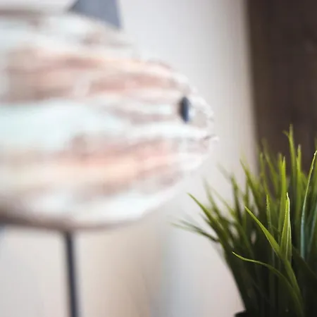 Appartement Ostsee - Nr 75 